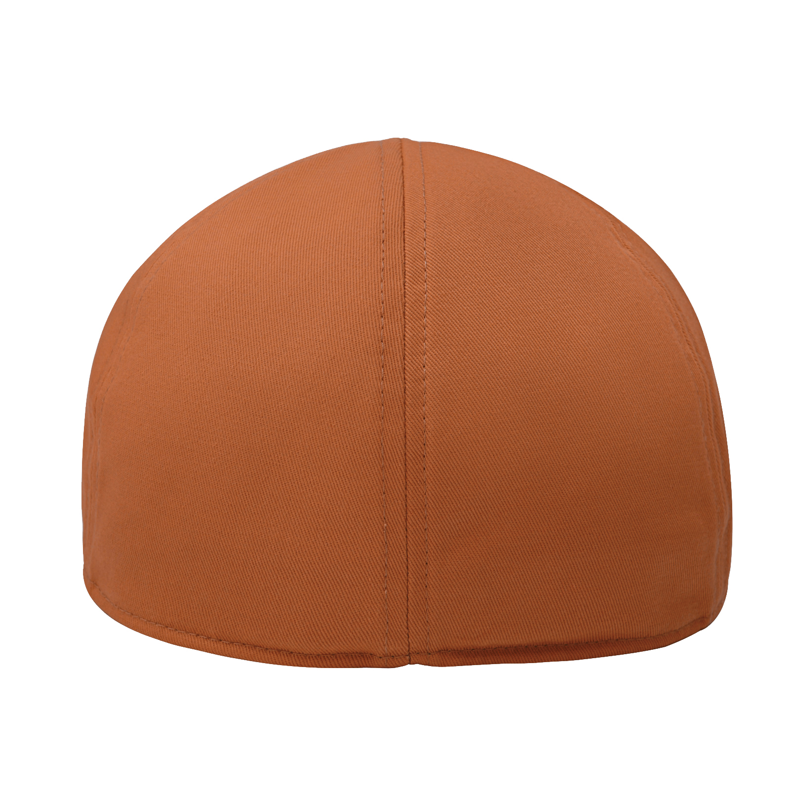 STARANCE Men's Classic Cotton  - Newsboy Cap Ivy 评论和价格