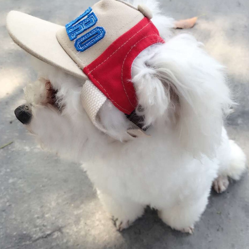 Embroidery Dog Mom Baseball Ha - Dad Hat Cotton 评论和价格
